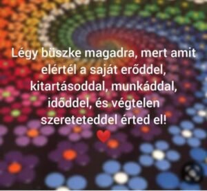 ff-bede2fd39832e3b324dd160ee7f2a86b-ff-dicsoseg-1